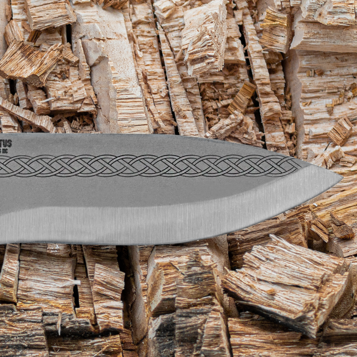 Pictus Messer