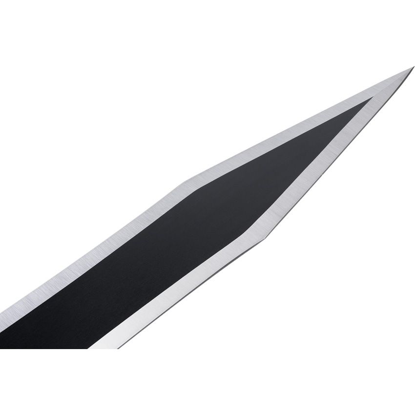 Gladius Schwert