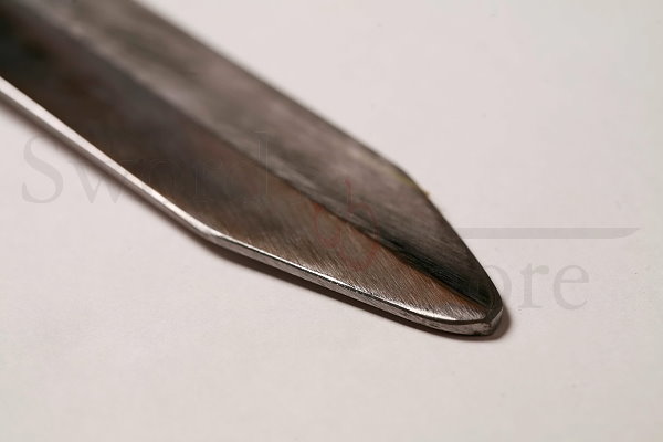 Gladius