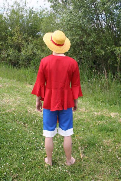 One Piece -Monkey D. Luffy 2#