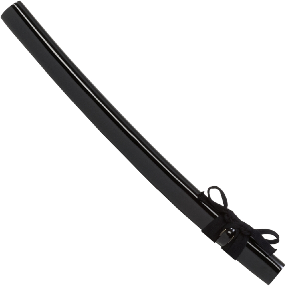 Dragon Tokuni Wakizashi