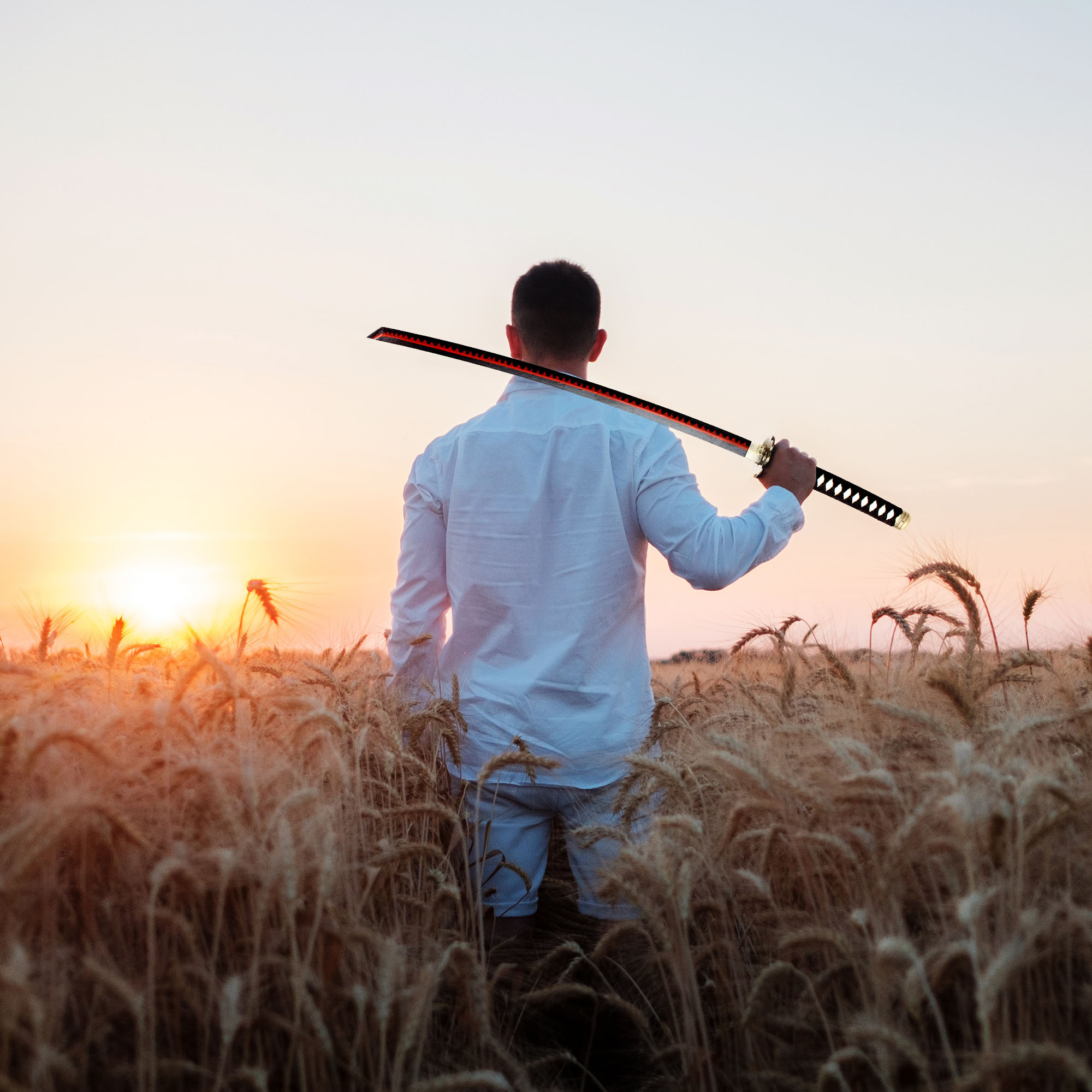 One Piece - Zoro's Shuusui Katana aus Holz mit Scheide