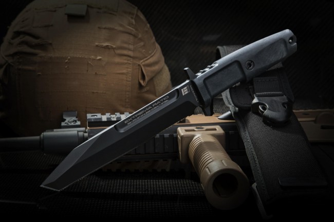 Fulcrum E.I.