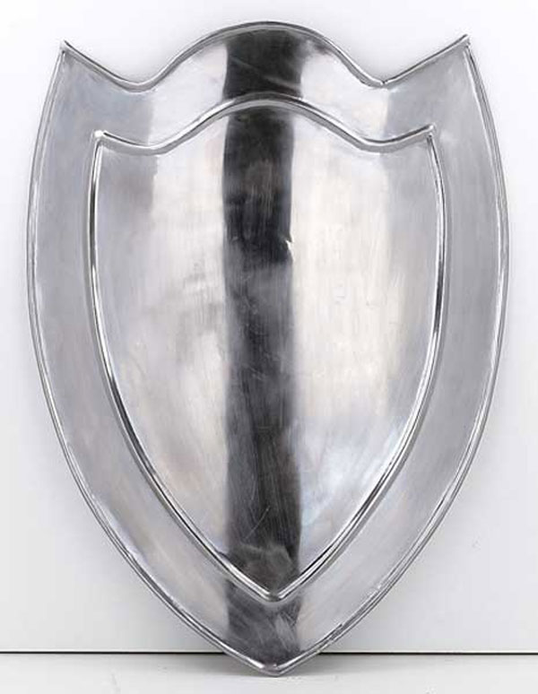 Kampfschild