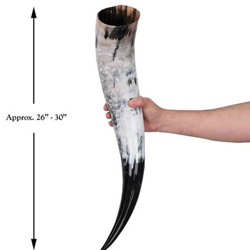 Trinkhorn von Odin