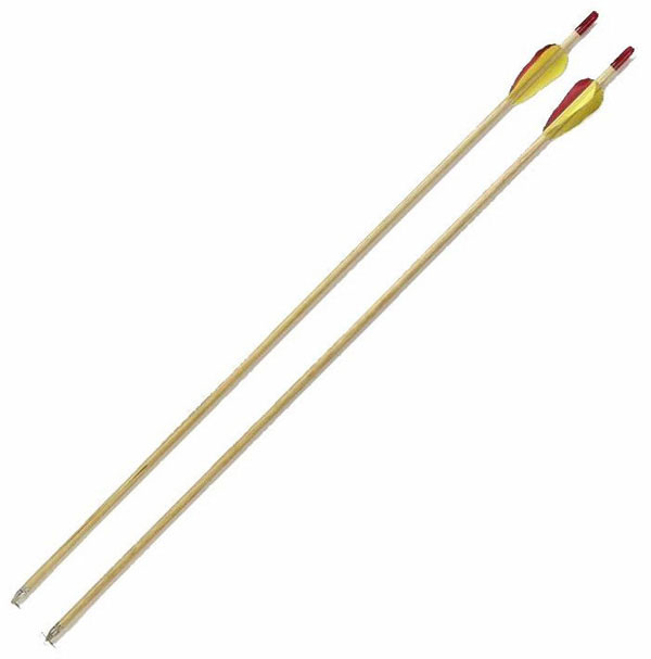Jugend Pfeil und Bogen Set 15 Pfund