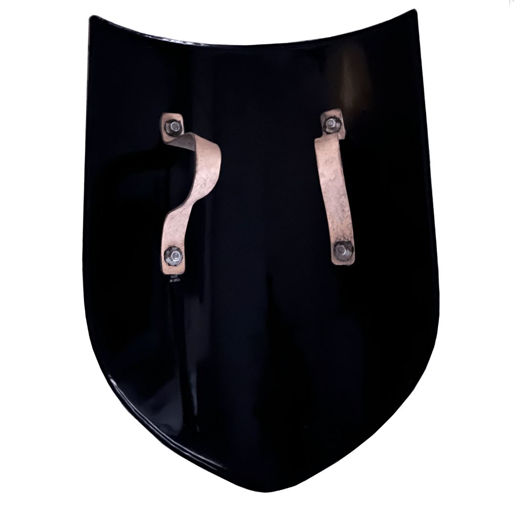 Glatter mittelalterlicher Schild