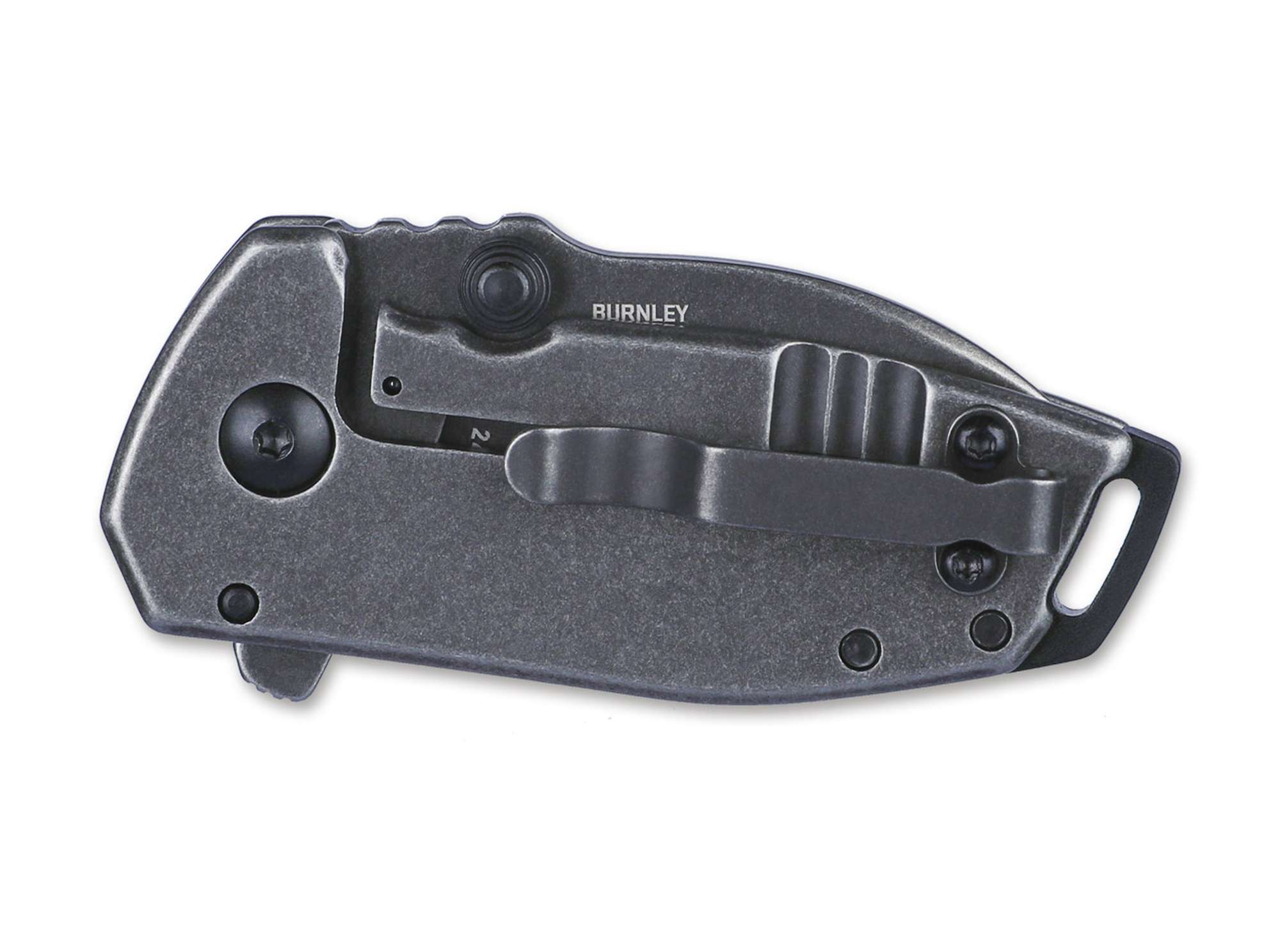 Squid Compact