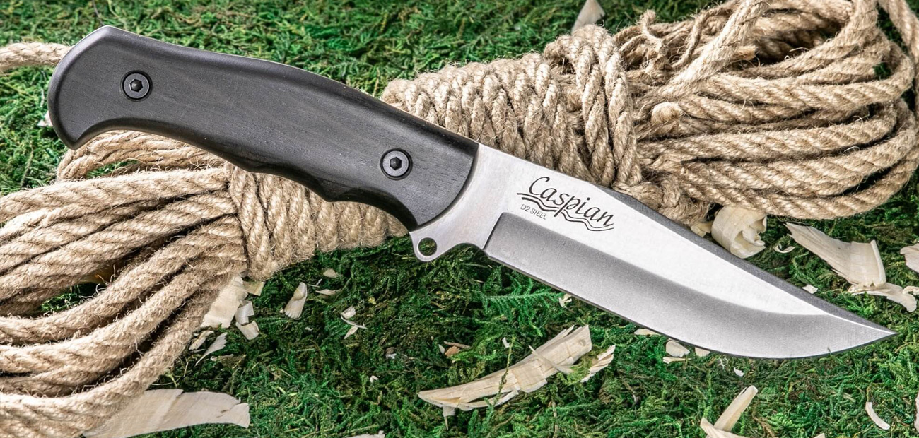 Caspian D2 SW Carpinus