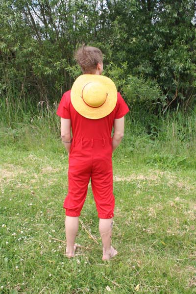 One Piece -Monkey D. Luffy 1#