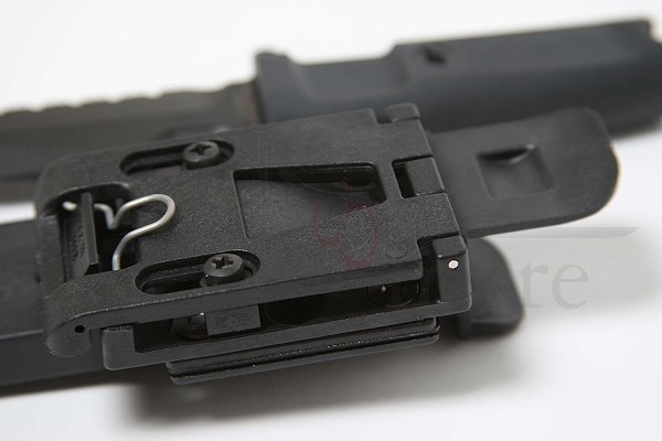 Fulcrum C Testudo
