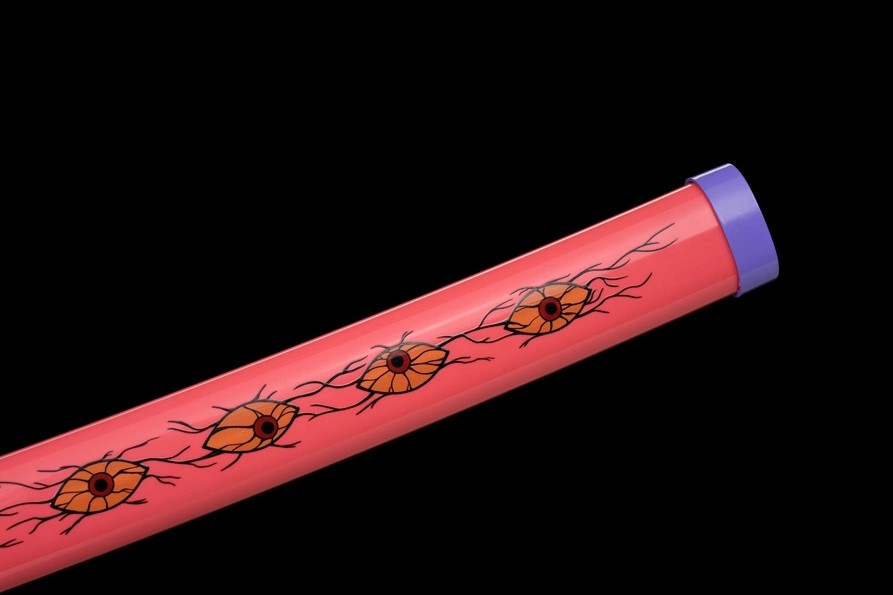 Demon Slayer - Kokushibou's Schwert