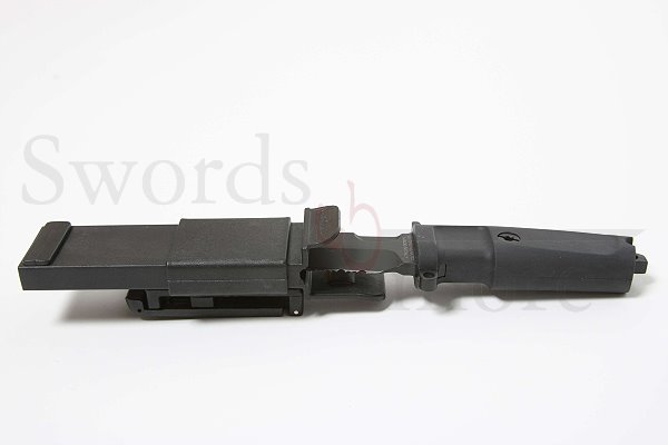 Fulcrum C Testudo