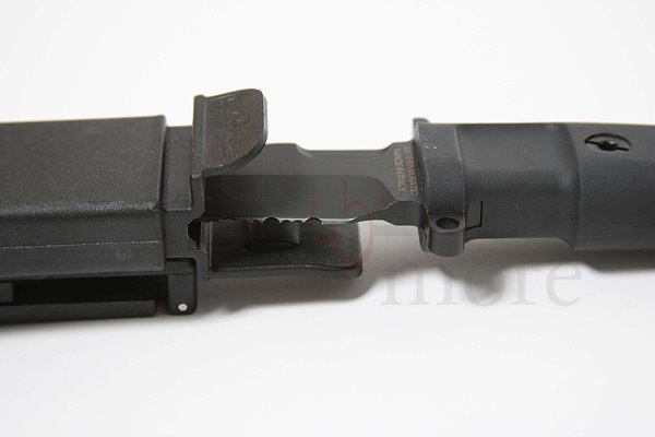 Fulcrum C Testudo
