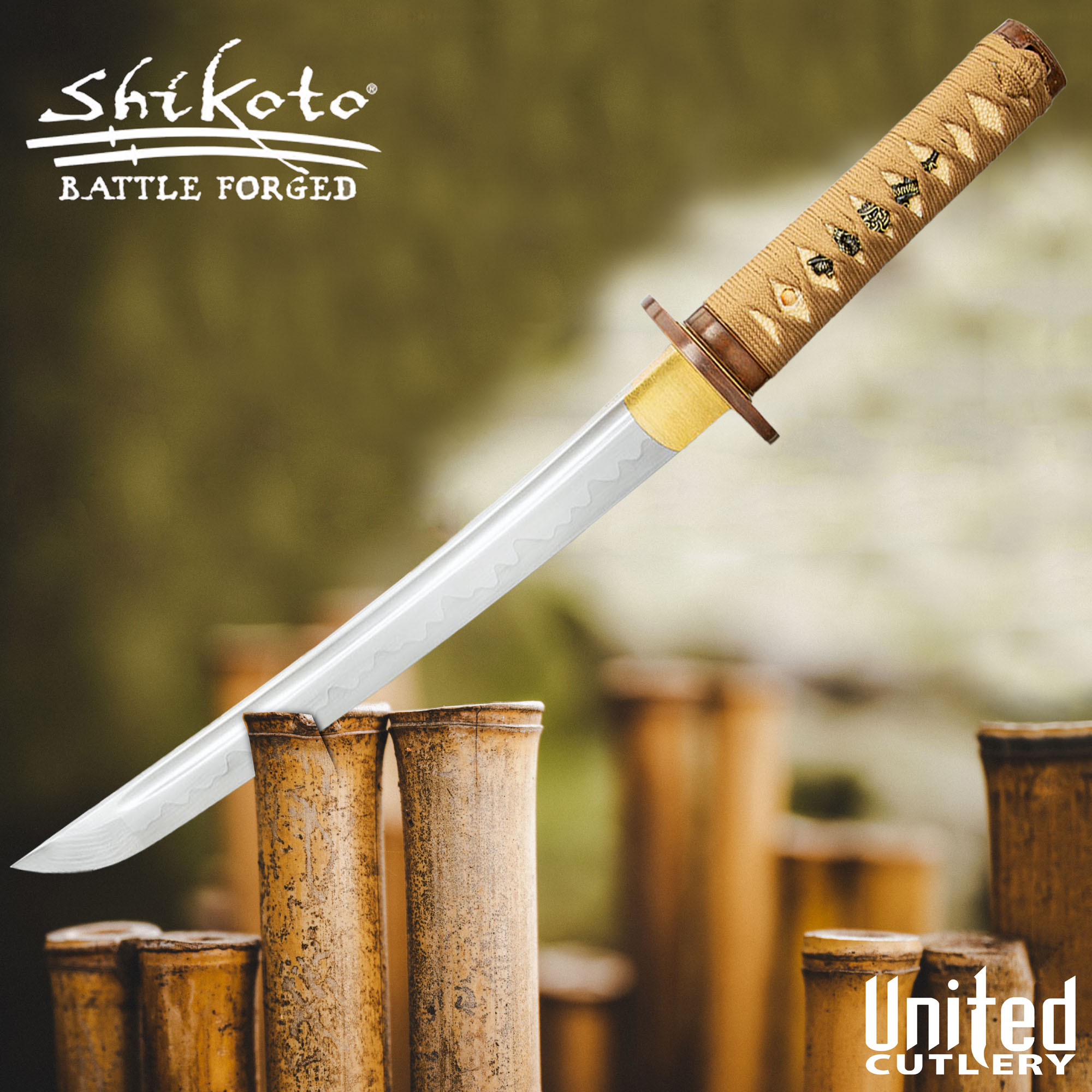 Shikoto Hidden Samurai Tanto mit Scheide