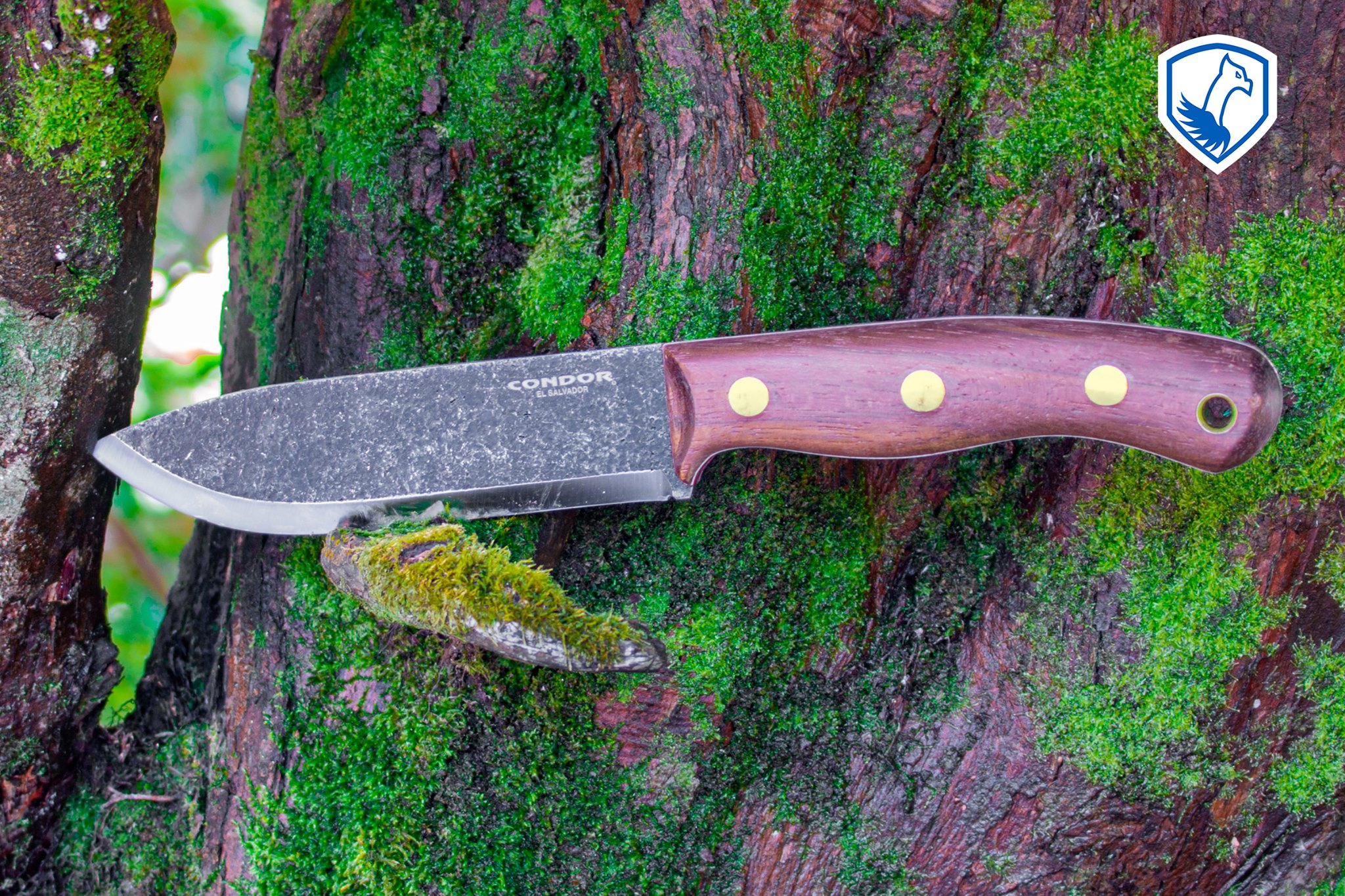 Bisonte Messer
