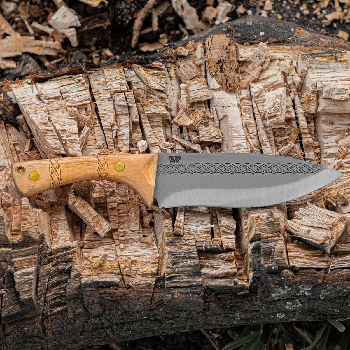 Pictus Messer