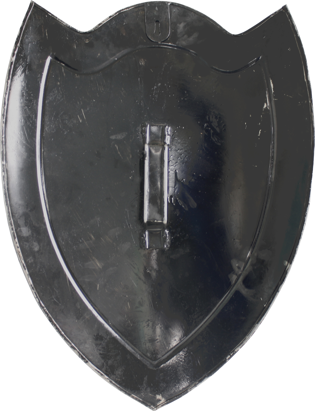 Kampfschild